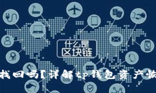 tp钱包资产可以找回吗？详解tp钱包资产恢复的方法与步骤