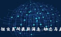 # 区块链交易所最新消息：动态与未来展望