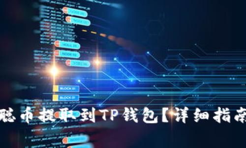 如何将中本聪币提取到TP钱包？详细指南与注意事项