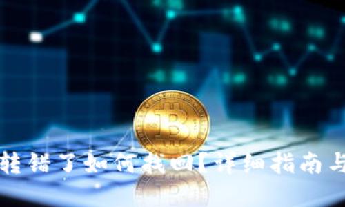 TP钱包币转错了如何找回？详细指南与解决方案