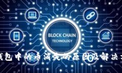 TP钱包中的币消失的原因及解决方案