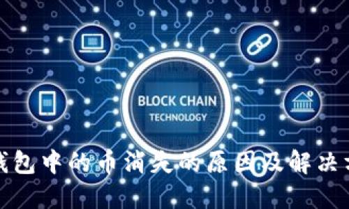 TP钱包中的币消失的原因及解决方案