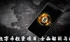 区块链数字币投资项目：全面解析与机遇展望