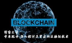 博客文章中本聪币：深入探讨其背后的区块链技