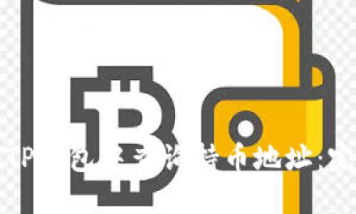 如何在TP钱包中查询持币地址：完整指南