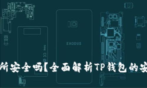 TP钱包转到交易所安全吗？全面解析TP钱包的安全性与使用指南