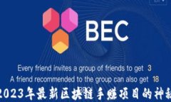 揭开2023年最新区块链手赚项目的神秘面纱