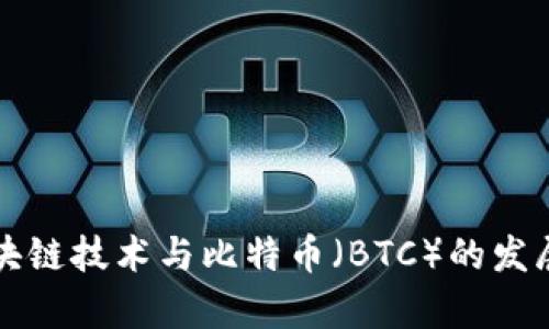 深入探讨区块链技术与比特币（BTC）的发展及应用前景
