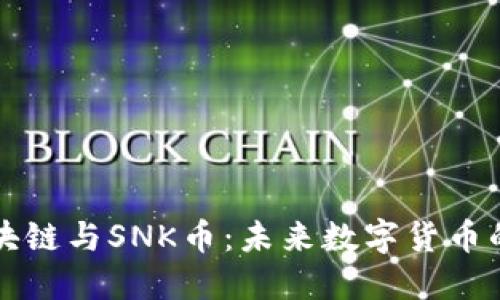深入了解区块链与SNK币：未来数字货币的潜力与挑战