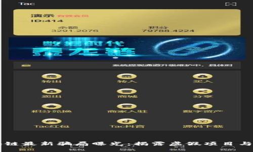 网络区块链最新骗局曝光：揭露虚假项目与投资误区