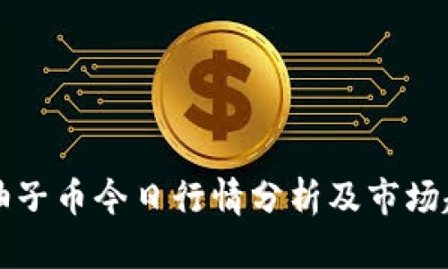 区块链柚子币今日行情分析及市场趋势解读