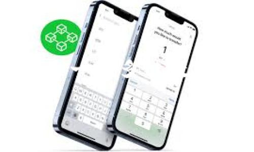 在讨论TP钱包所使用的通道之前，我们需要了解TP钱包的基本概念及其在区块链和加密货币生态系统中的作用。TP钱包，或称为Token Pocket，是一个多链数字货币钱包，支持多种区块链资产的存储、管理和交易。它不仅因为其功能多样而受到用户欢迎，还因为其提供了便捷的用户体验和较高的安全性。

### TP钱包使用的通道详解：让数字资产管理更安全便捷