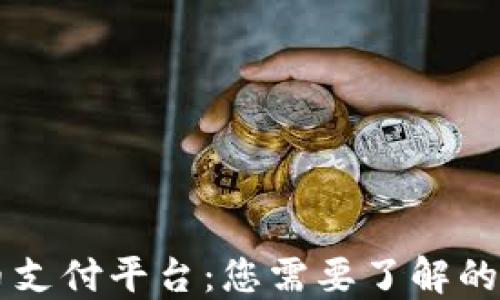 
区块链币支付平台：您需要了解的全面指南
