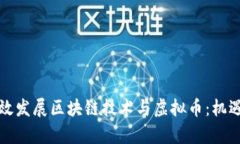 如何有效发展区块链技术与虚拟币：机遇与挑战