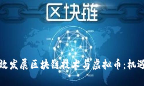 如何有效发展区块链技术与虚拟币：机遇与挑战