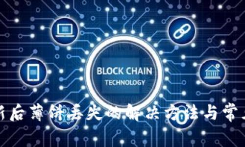 tp钱包更新后薄饼丢失的解决方法与常见问题解析