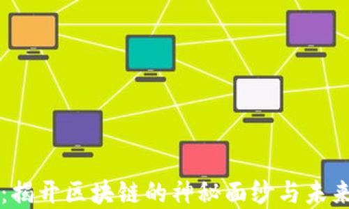 
傻币：揭开区块链的神秘面纱与未来展望