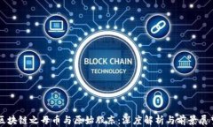 区块链之母币与原始股东：深度解析与前景展望