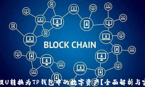 
如何将提U转换为TP钱包中的数字资产？全面解析与实用指南