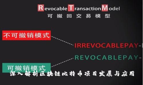 深入解析区块链比特币项目发展与应用