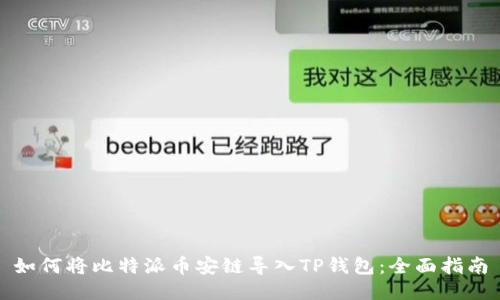 如何将比特派币安链导入TP钱包：全面指南