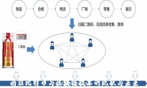 
南非比特币与区块链技术的现状与未来