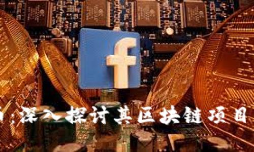 PL币：深入探讨其区块链项目路线