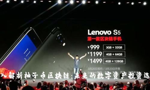 深入解析柚子币区块链：未来的数字资产投资选择