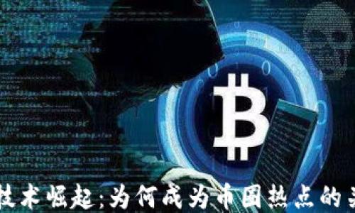 
区块链技术崛起：为何成为币圈热点的关键因素