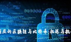 保加利亚的区块链与比特币：机遇与挑战分析