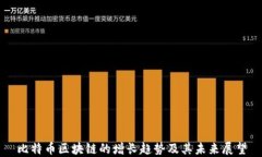 比特币区块链的增长趋势及其未来展望