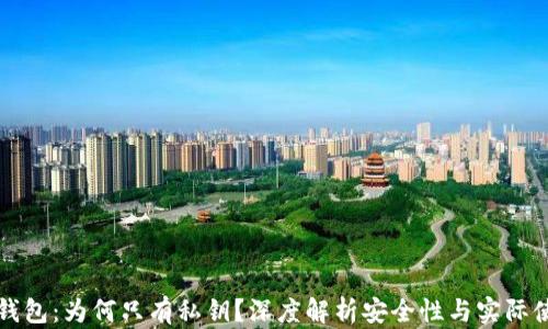 
TP钱包：为何只有私钥？深度解析安全性与实际使用