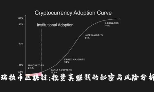 瑞拉币区块链：投资真赚钱的秘密与风险分析