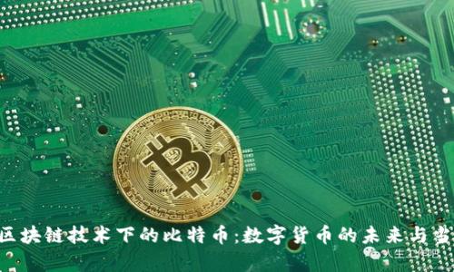 ziaoti区块链技术下的比特币：数字货币的未来与当前挑战