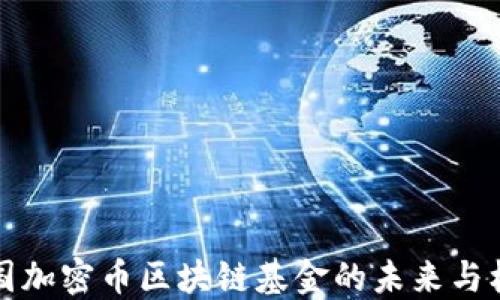 
美国加密币区块链基金的未来与机遇