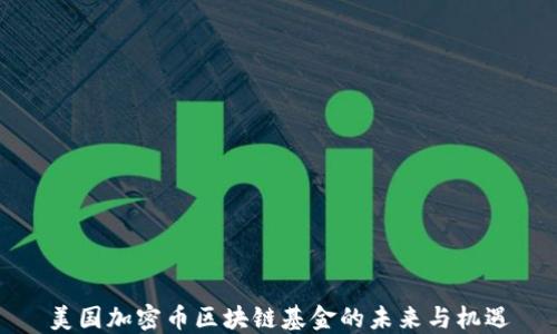 
美国加密币区块链基金的未来与机遇