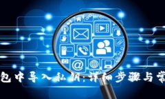 如何在TP钱包中导入私钥：详细步骤与常见问题解