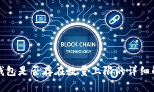 TP钱包是否存在数量上限的详细解析