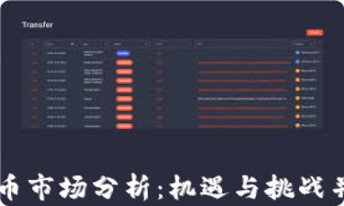 
区块链发币市场分析：机遇与挑战并存的未来