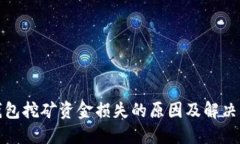 TP钱包挖矿资金损失的原因及解决方案