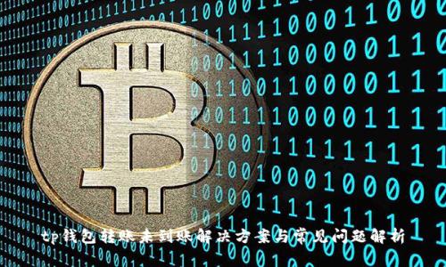 tp钱包转账未到账解决方案与常见问题解析