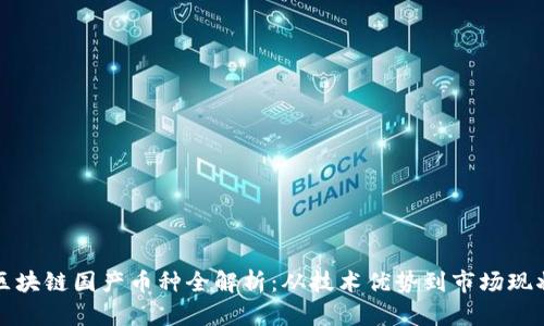 区块链国产币种全解析：从技术优势到市场现状