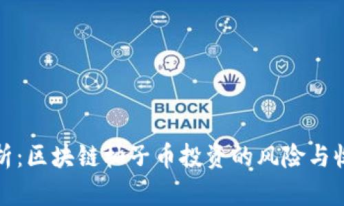 深入分析：区块链柚子币投资的风险与收益并存