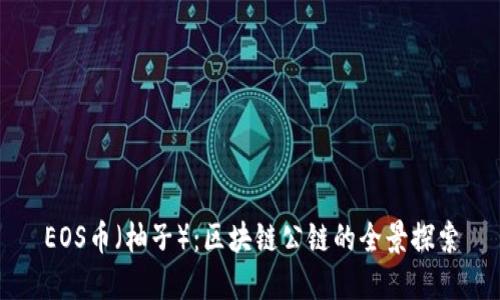 EOS币（柚子）：区块链公链的全景探索