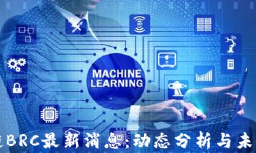 
区块链BRC最新消息：动态分析与未来趋势