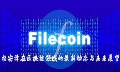 杨安泽在区块链领域的最新动态与未来展望