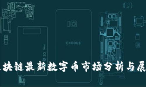 区块链最新数字币市场分析与展望