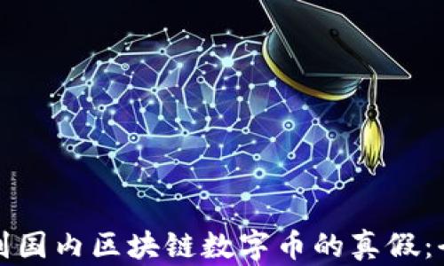 
如何辨别国内区块链数字币的真假：全面指南