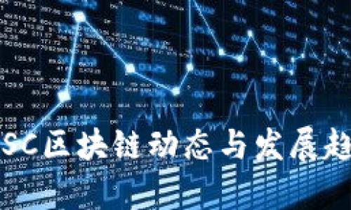 最新DISC区块链动态与发展趋势分析