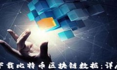 如何下载比特币区块链数据：详尽指南